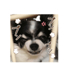 ソランとの日常（個別スタンプ：6）