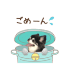 ソランとの日常（個別スタンプ：8）