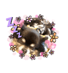 Chihuahua's song ソラとリズ⑥（個別スタンプ：2）