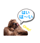 Lovely ラブたん（個別スタンプ：9）