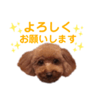 Lovely ラブたん（個別スタンプ：12）