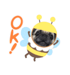 パグ犬のくぅちゃん（個別スタンプ：1）