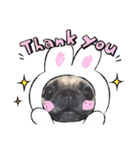 パグ犬のくぅちゃん（個別スタンプ：6）