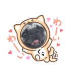 パグ犬のくぅちゃん（個別スタンプ：7）