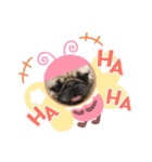 パグ犬のくぅちゃん（個別スタンプ：9）