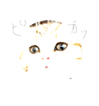 ちわーっす（個別スタンプ：34）