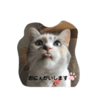 永遠のおんにゃのこ☆みゆう（個別スタンプ：1）