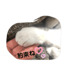 永遠のおんにゃのこ☆みゆう（個別スタンプ：8）