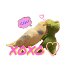 インコのリモン2（個別スタンプ：8）