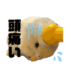 インコのリモン2（個別スタンプ：9）