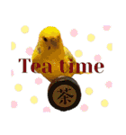 インコのリモン2（個別スタンプ：19）