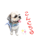 ワンコ【ろく＆ふうた】（個別スタンプ：2）