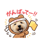 ワンコ【ろく＆ふうた】（個別スタンプ：24）