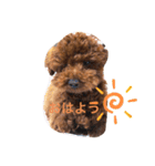 Poohの日常（個別スタンプ：15）