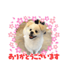 レフラースタンプ3（個別スタンプ：6）