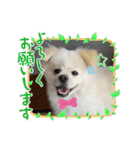 レフラースタンプ3（個別スタンプ：7）