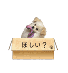 レフラースタンプ3（個別スタンプ：17）