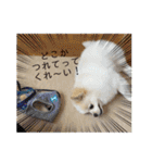 レフラースタンプ3（個別スタンプ：26）