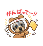 そらいろ⑤（個別スタンプ：5）
