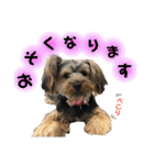 そらいろ⑤（個別スタンプ：11）