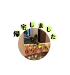 そらいろ⑤（個別スタンプ：15）