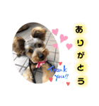 そらいろ⑤（個別スタンプ：16）