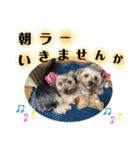 そらいろ⑤（個別スタンプ：22）