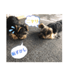そらいろ⑤（個別スタンプ：28）
