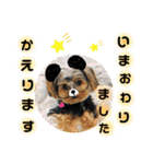 そらいろ⑤（個別スタンプ：29）