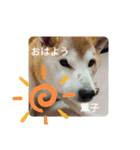 薫子スタンプ（個別スタンプ：3）