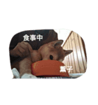 薫子スタンプ（個別スタンプ：4）