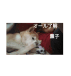 薫子スタンプ（個別スタンプ：5）