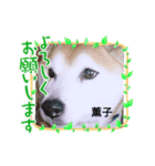 薫子スタンプ（個別スタンプ：6）