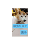 薫子スタンプ（個別スタンプ：8）