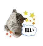一言はちろうその2（個別スタンプ：2）