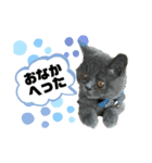 一言はちろうその2（個別スタンプ：6）