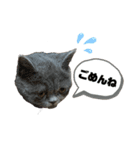 一言はちろうその2（個別スタンプ：8）