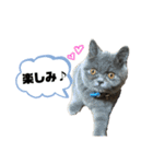 一言はちろうその2（個別スタンプ：16）