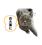 一言はちろうその2（個別スタンプ：34）