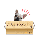 うちのゆず2（個別スタンプ：2）