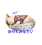 うちのゆず2（個別スタンプ：5）