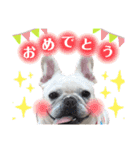 うちのゆず2（個別スタンプ：10）