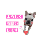 うちのゆず2（個別スタンプ：14）