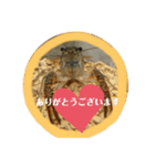 敬語ざりがに（個別スタンプ：1）