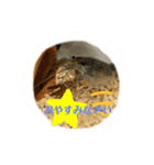 敬語ざりがに（個別スタンプ：2）