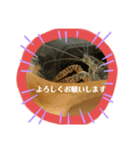 敬語ざりがに（個別スタンプ：3）
