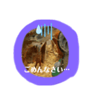 敬語ざりがに（個別スタンプ：4）
