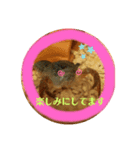 敬語ざりがに（個別スタンプ：6）