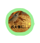 敬語ざりがに（個別スタンプ：7）