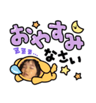 しーはーず②（個別スタンプ：8）